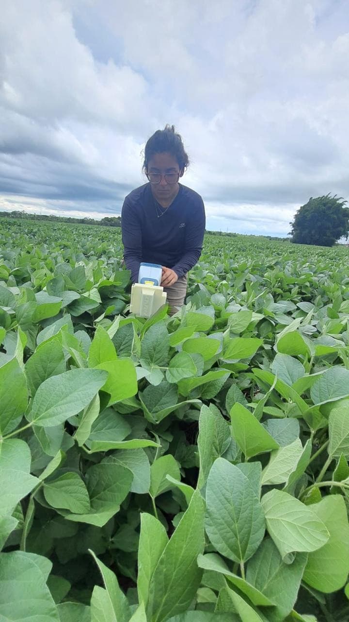 Startup Inralt revoluciona análise de fertilizantes com IA