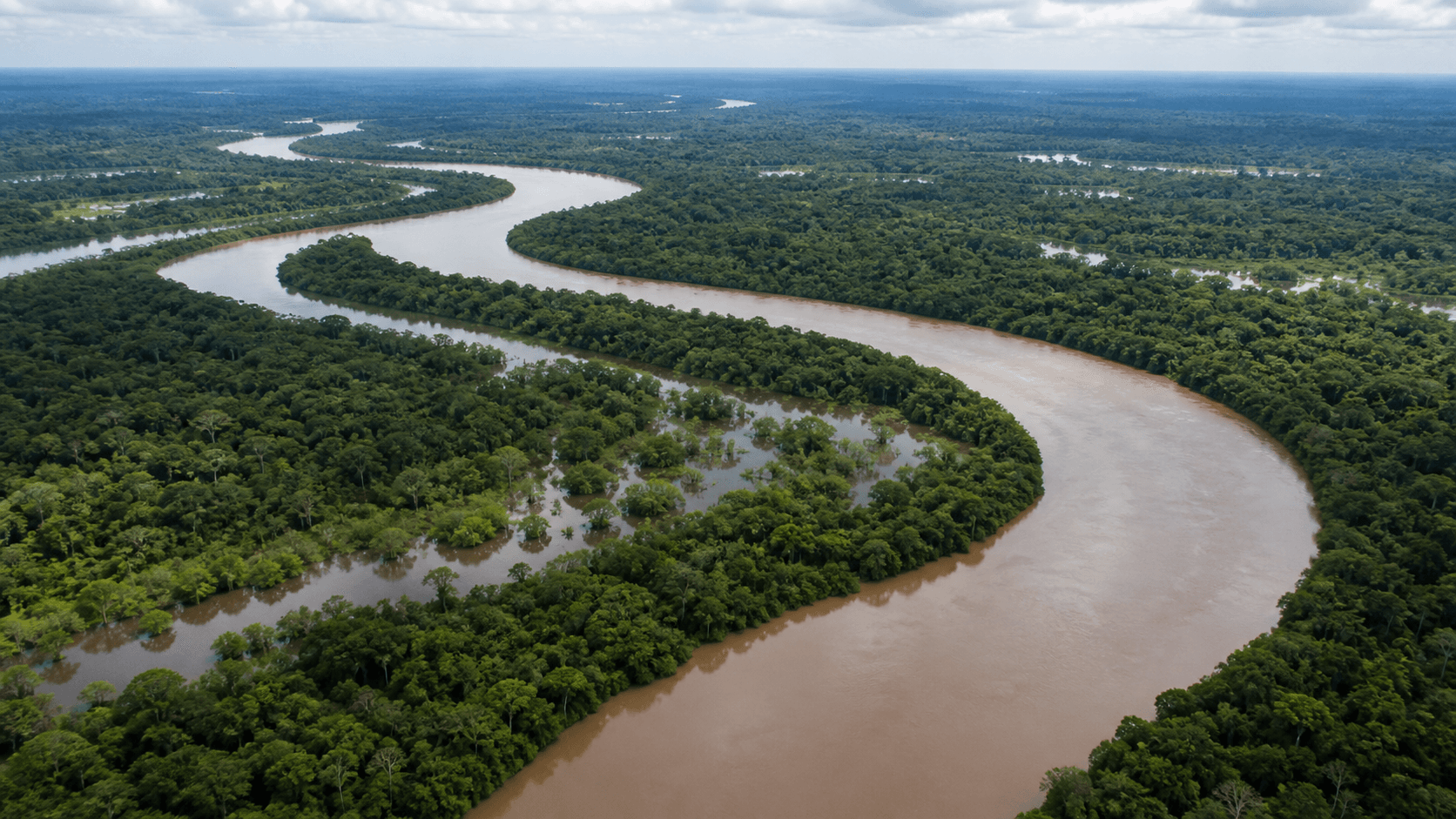 Relatório revela riqueza de peixes da Amazônia e ameaças à biodiversidade