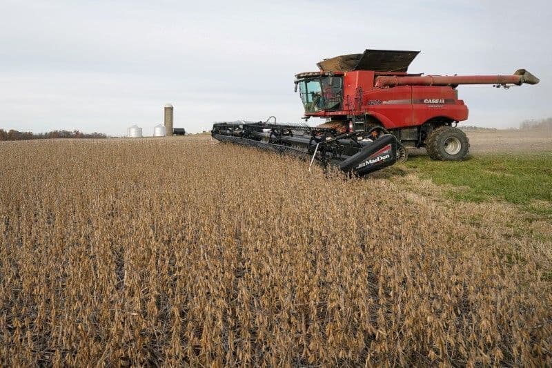 AgRural Aumenta Projeção da Safra de Soja para 2025/26 em 178,4 Milhões de Toneladas