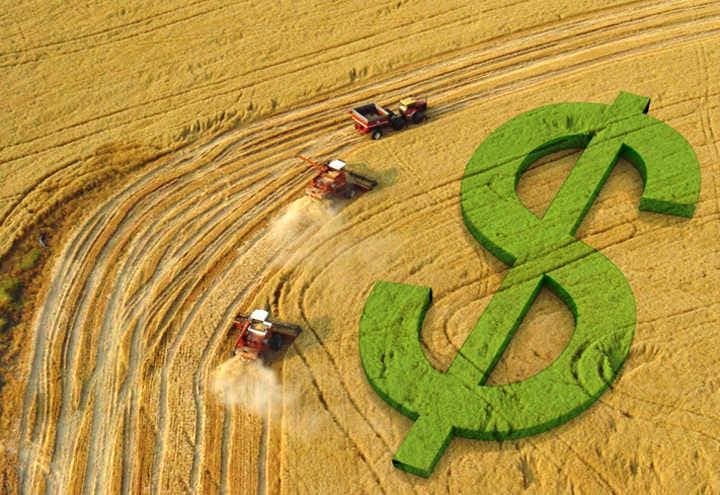 Soja tem movimentação fraca no Brasil com queda de preços
