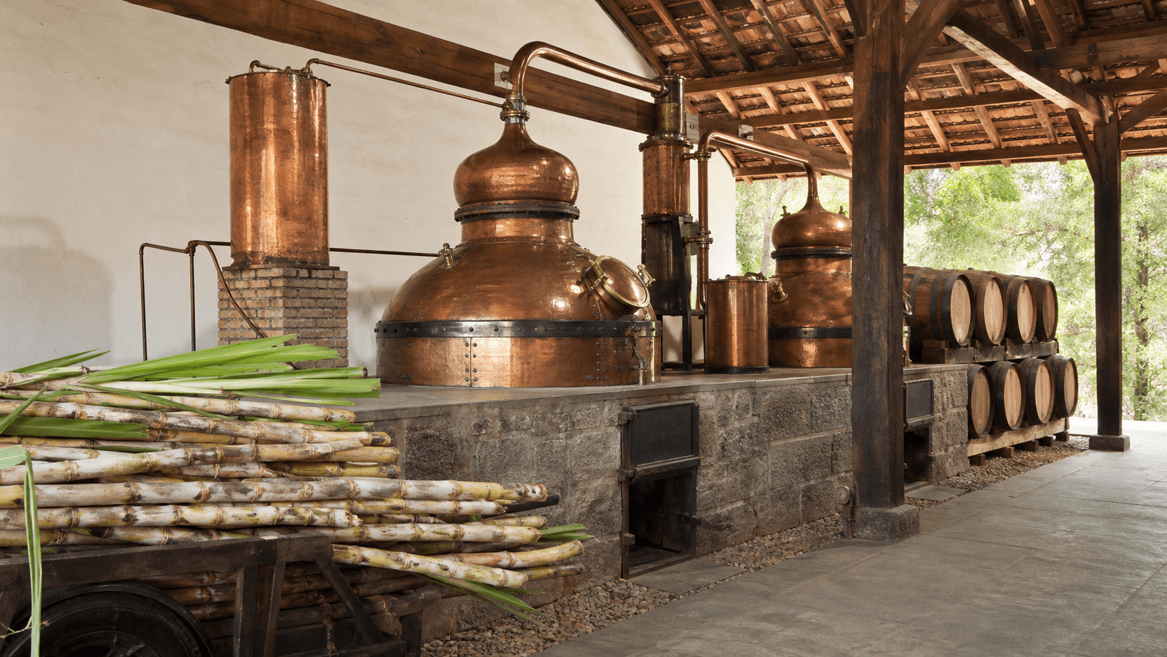 Anuário da Cachaça 2026 revela crescimento do setor em 2025