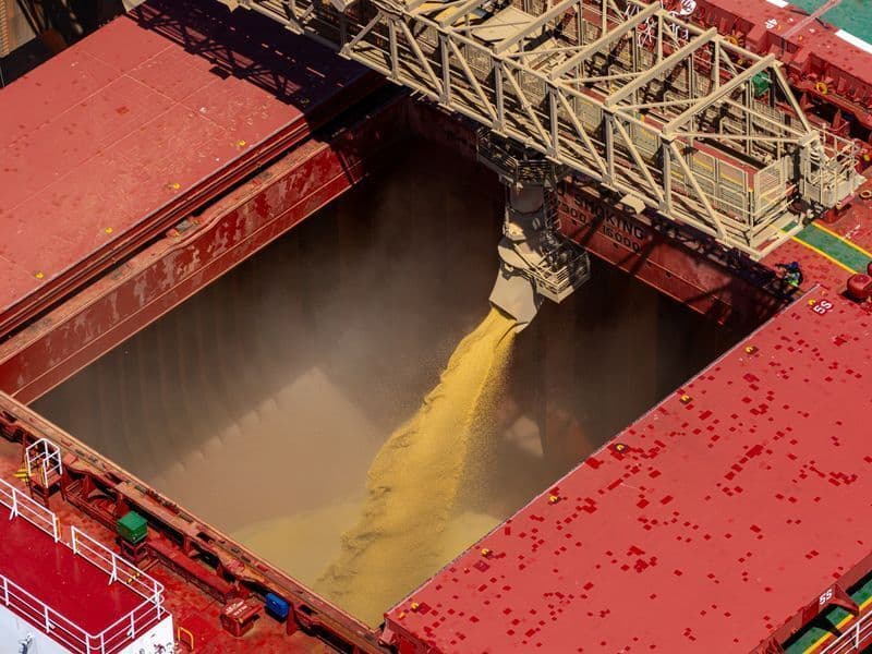 China deve reduzir compras de soja e carnes em 2026