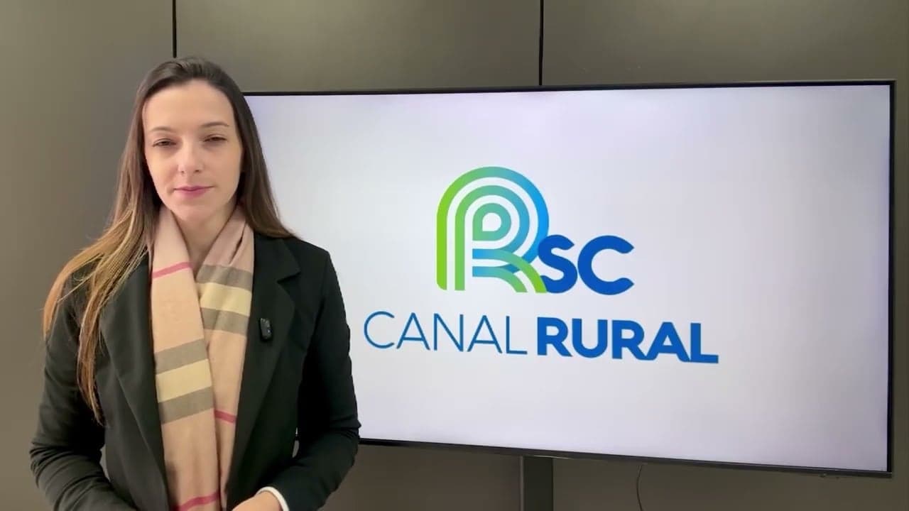 Santa Catarina atinge recorde histórico na produção de suínos