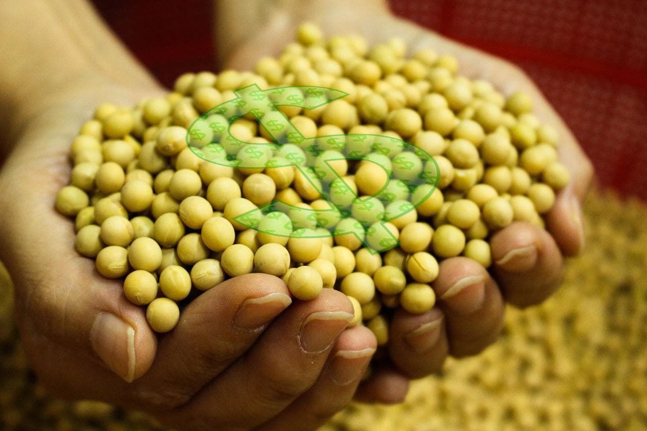 Reforma Tributária muda dinâmica de operações no agro