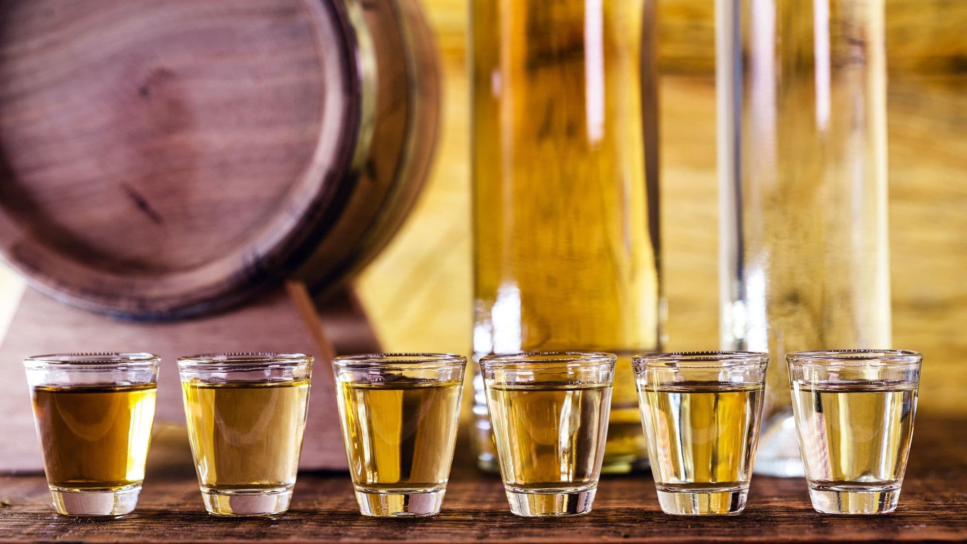 Expocachaça reúne 250 expositores e espera 25 mil visitantes