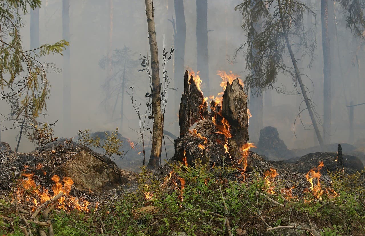 Acordo entre Inmet e Ibama visa combater incêndios florestais