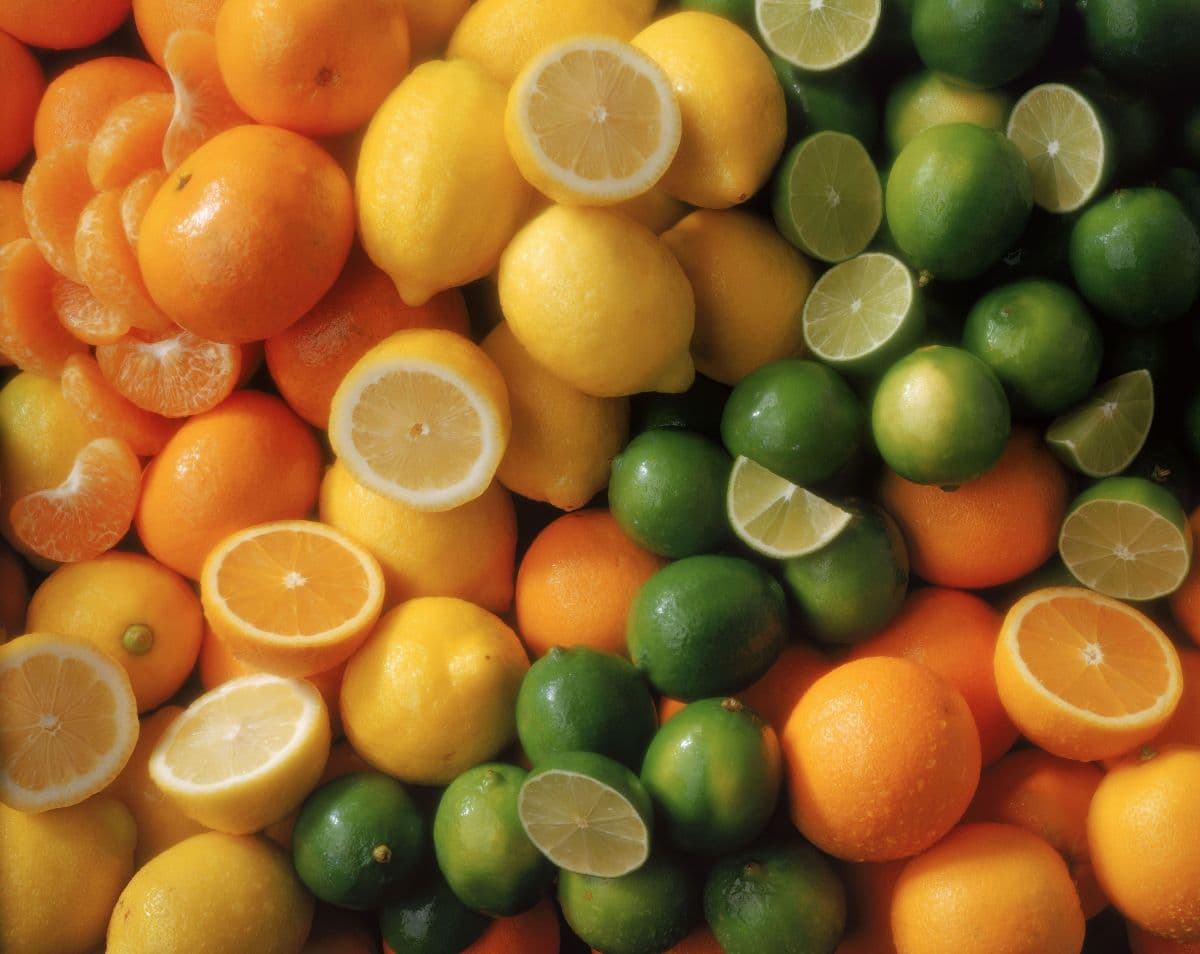 Limão caviar: a fruta exótica que encanta chefs no Brasil