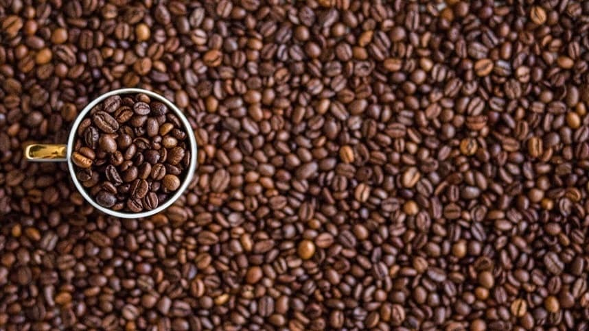 Cresce quase 25% as exportações de café da América do Sul em novembro