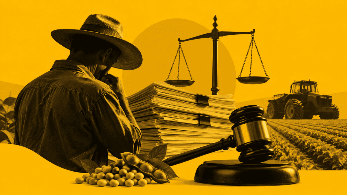 Incertezas judiciais impactam crédito rural, alerta CEO da Leme
