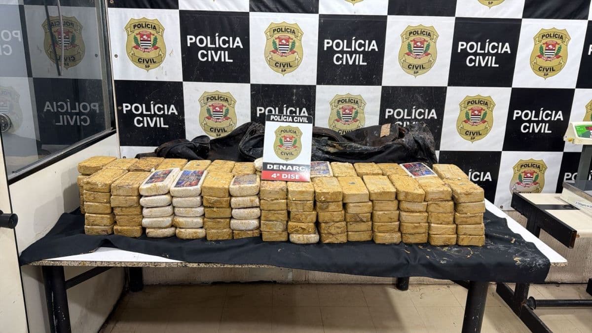 Caminhão com 146 tijolos de cocaína é apreendido em São Roque