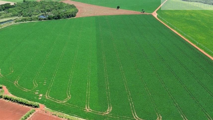 Produtores de soja no Brasil buscam eficiência com novas tecnologias