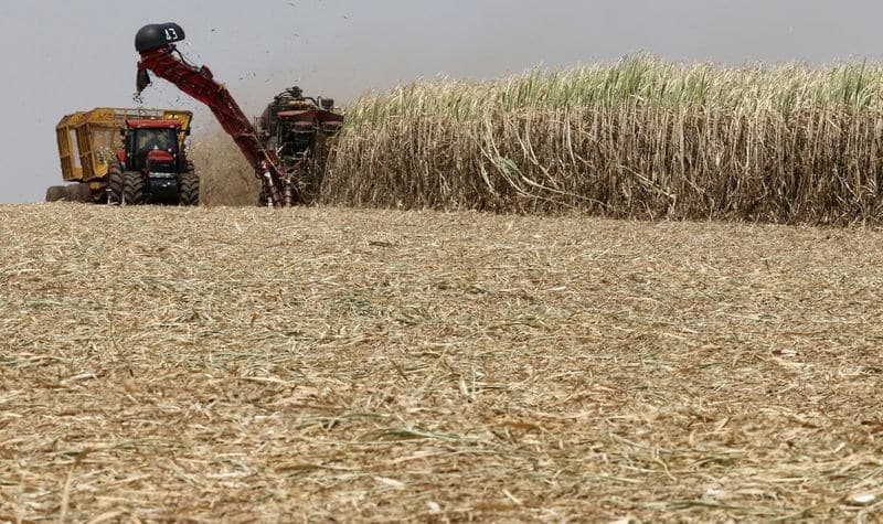 Vendas de etanol no Brasil crescem 21,1% em agosto