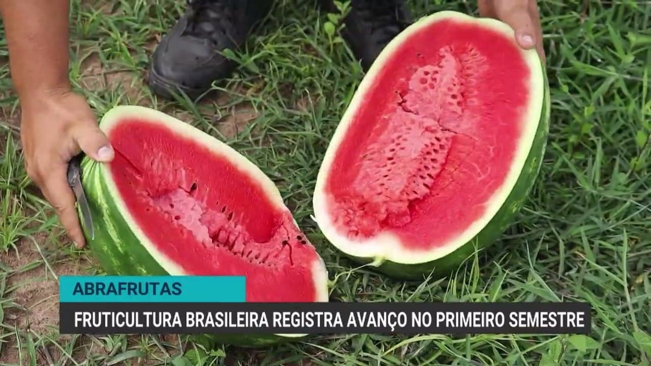 Fruticultura brasileira registra recorde nas exportações em 2026