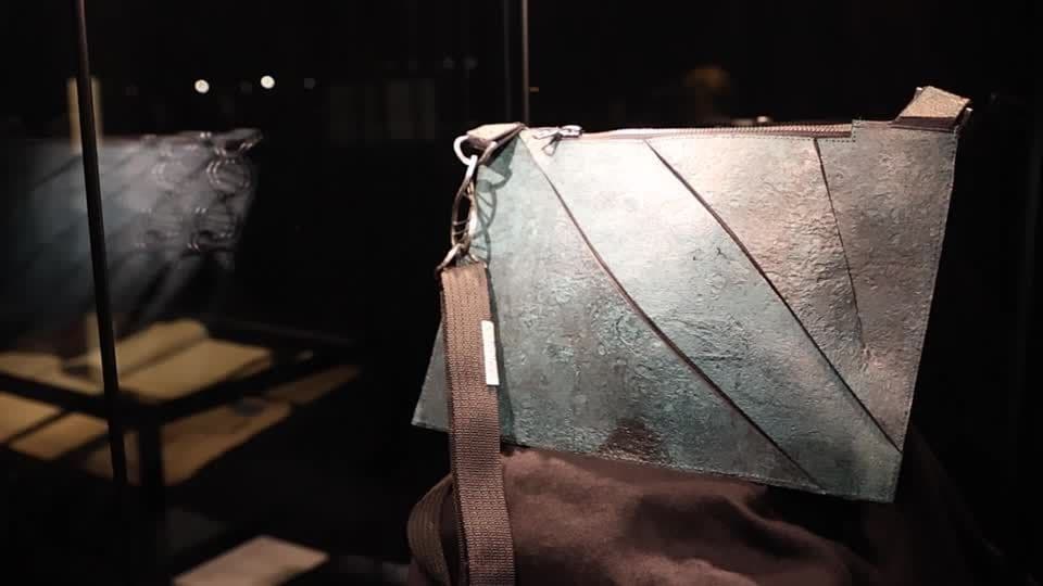 Bolsa de colágeno de Tyrannosaurus rex pode arrecadar R$ 2 milhões