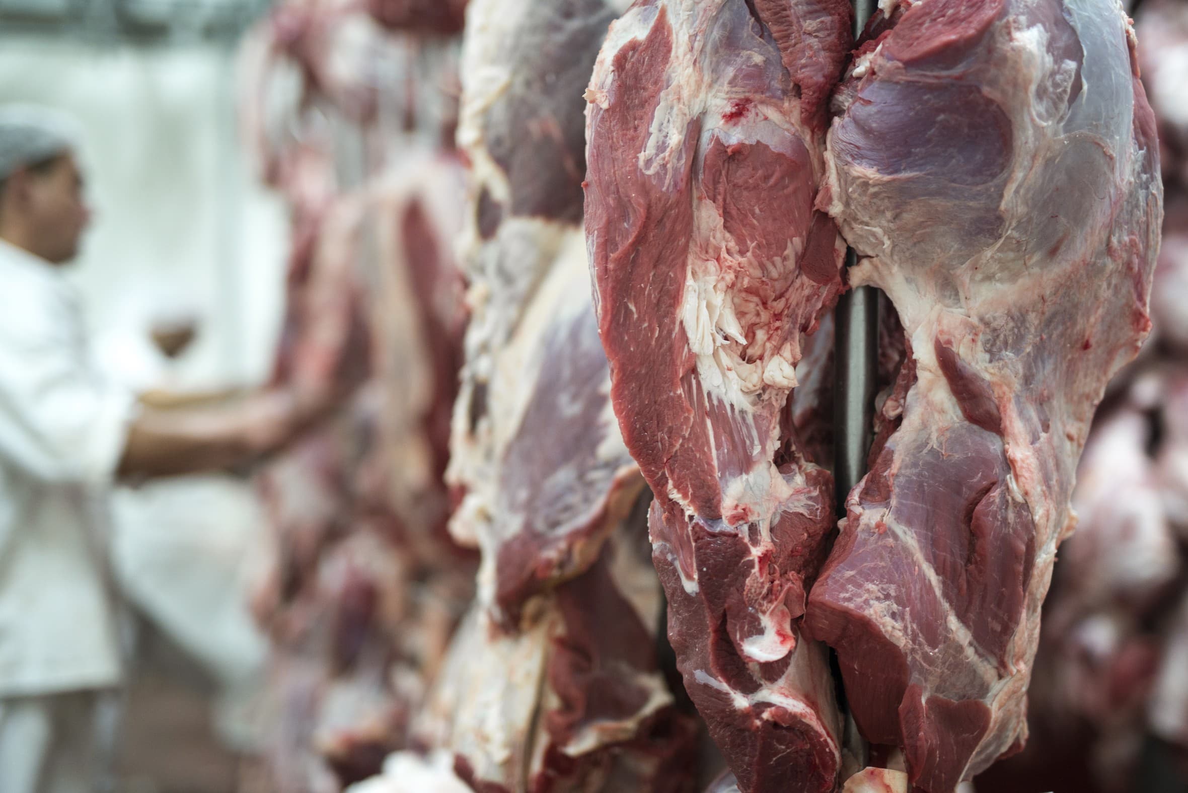 Indústria de carne bovina pede revisão da cota de exportação para os EUA