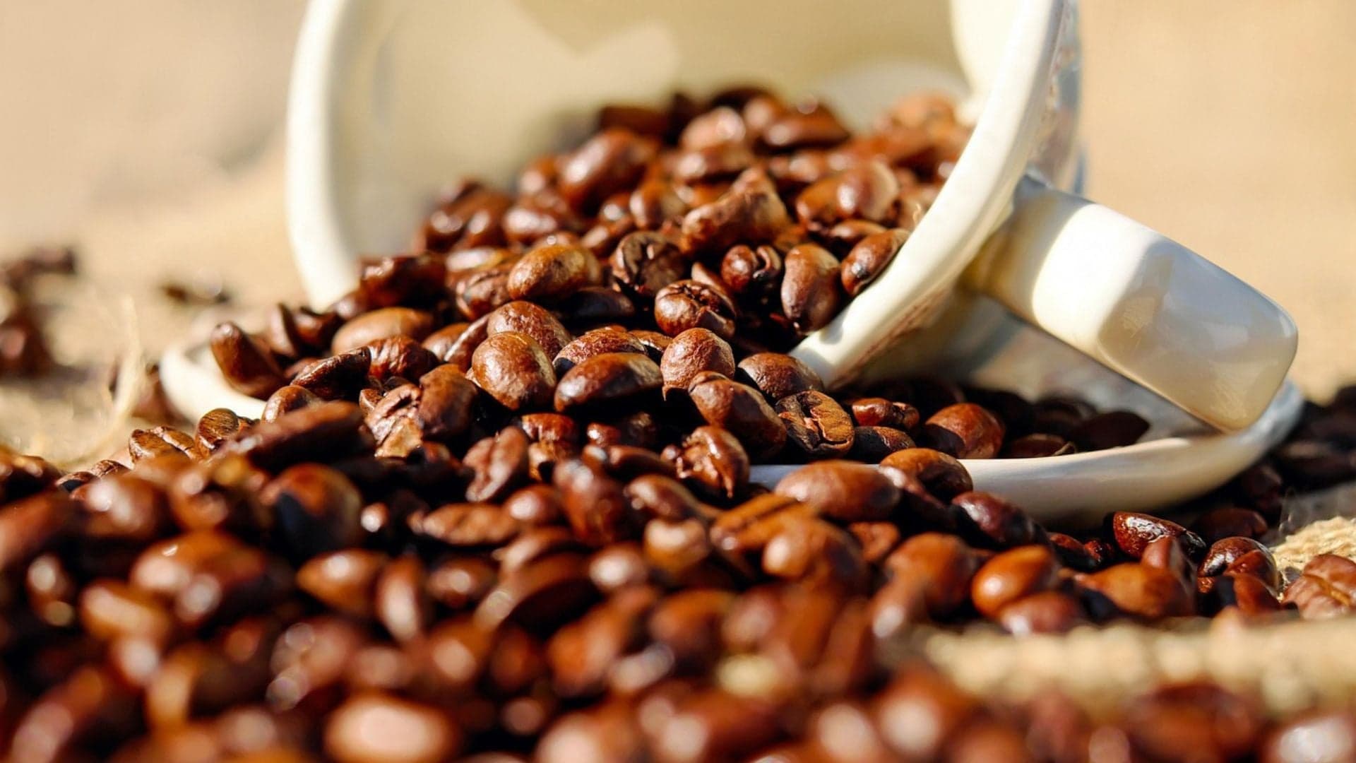 Safra de café 2026/27 no Brasil inicia forte, mas enfrenta desafios
