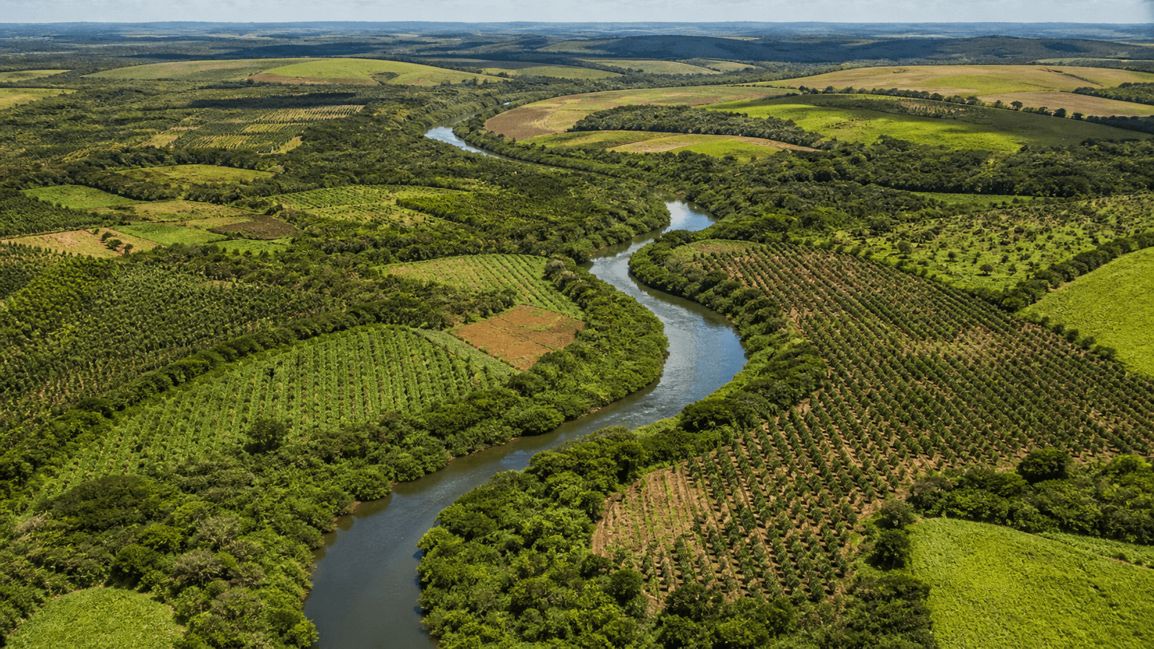 BNDES e MMA promovem oficina sobre edital de restauração na Bacia do Rio Doce