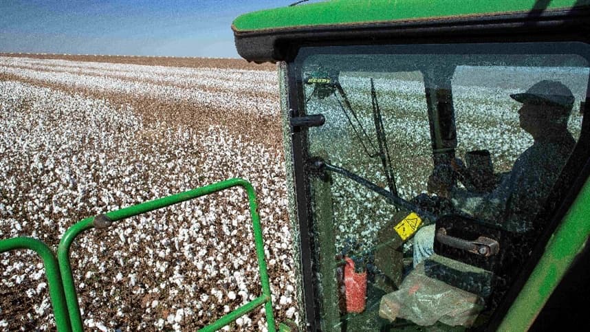 Syngenta Apresenta Novidades em Inseticidas e Tratamento de Sementes no Congresso Brasileiro do Algodão