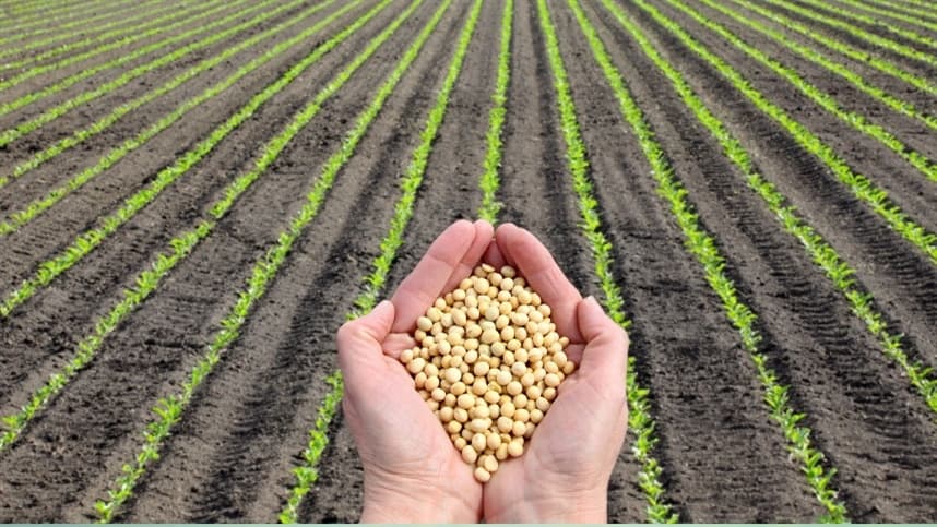 Agronegócio enfrenta desafios após período de euforia
