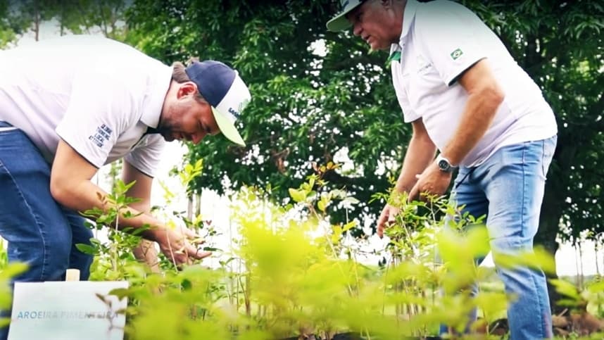 Cadastro Ambiental Rural ganha agilidade com tecnologia do Google