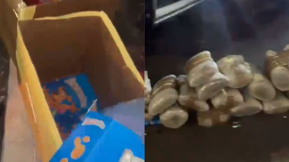 Drogas são apreendidas em ônibus com passageiro de MS em SP