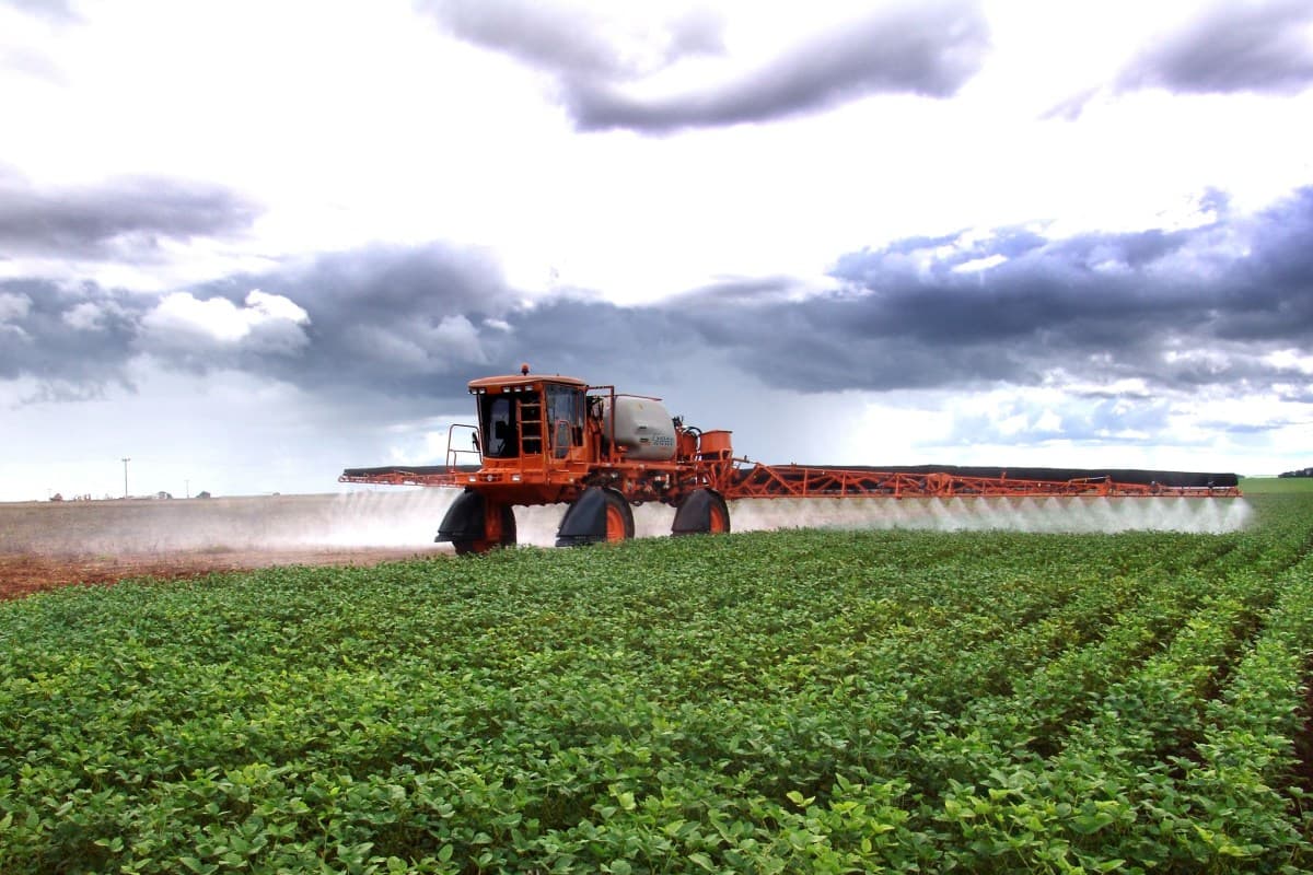 Pesquisadora alerta sobre agrotóxicos proibidos e impactos no Brasil