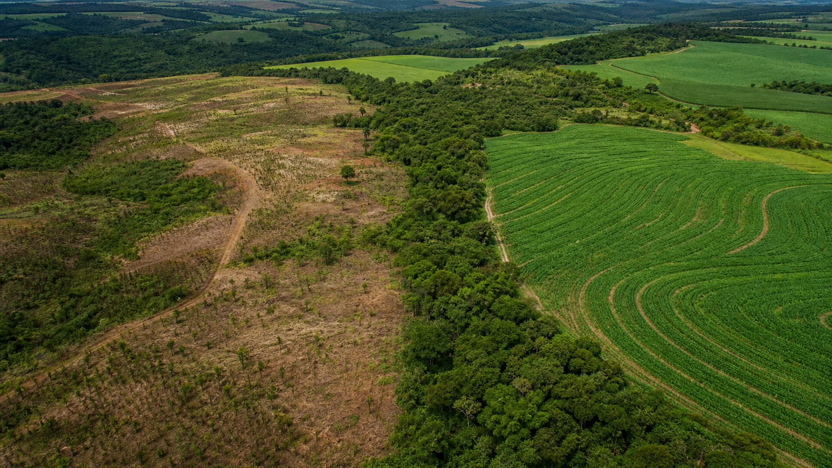 Caminho Verde Brasil impulsiona sustentabilidade na agropecuária