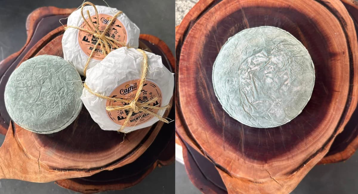 Queijo Aventureiro conquista prêmios e honra a tradição paraibana