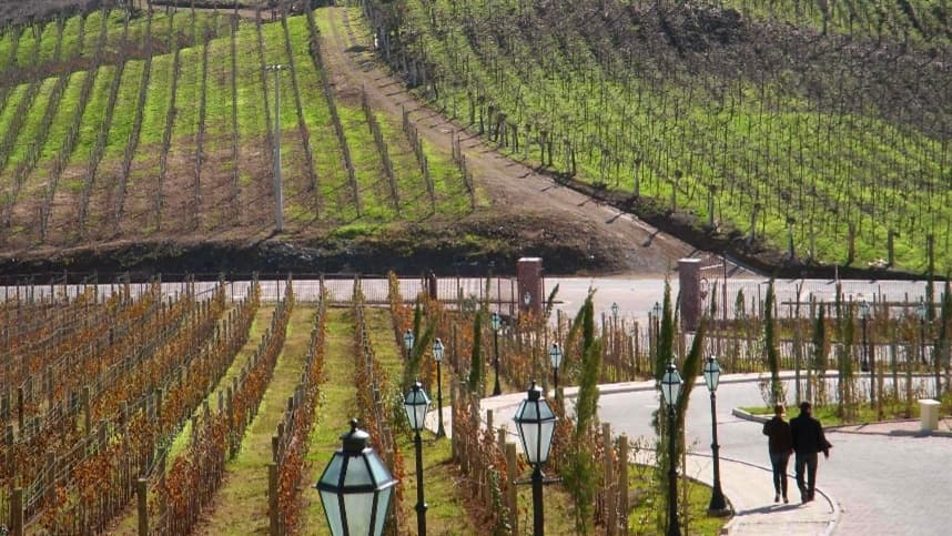 Vale dos Vinhedos espera 120 mil turistas neste inverno de 2026