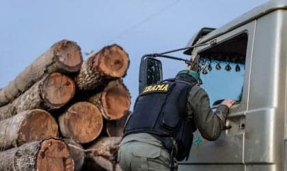 TRF-1 mantém multa de R$ 4,54 milhões por desmatamento em RR