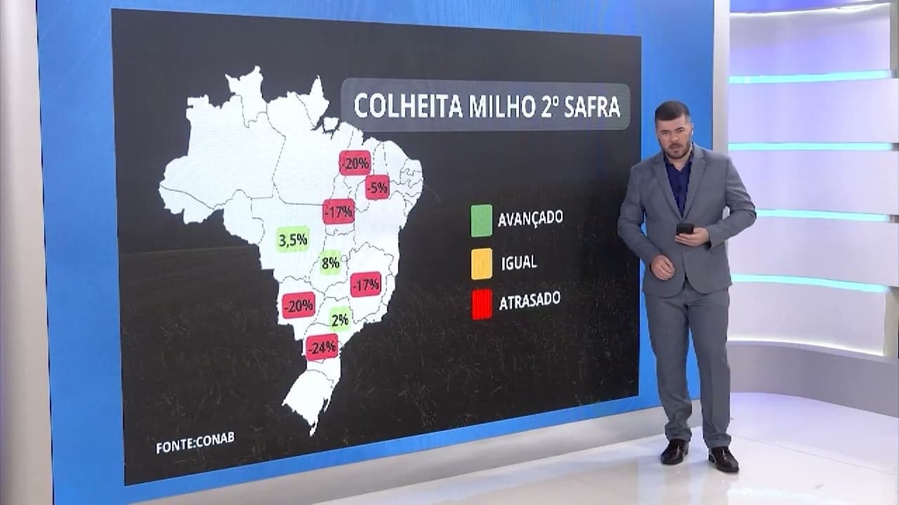 Condições climáticas afetam colheita de milho no Brasil