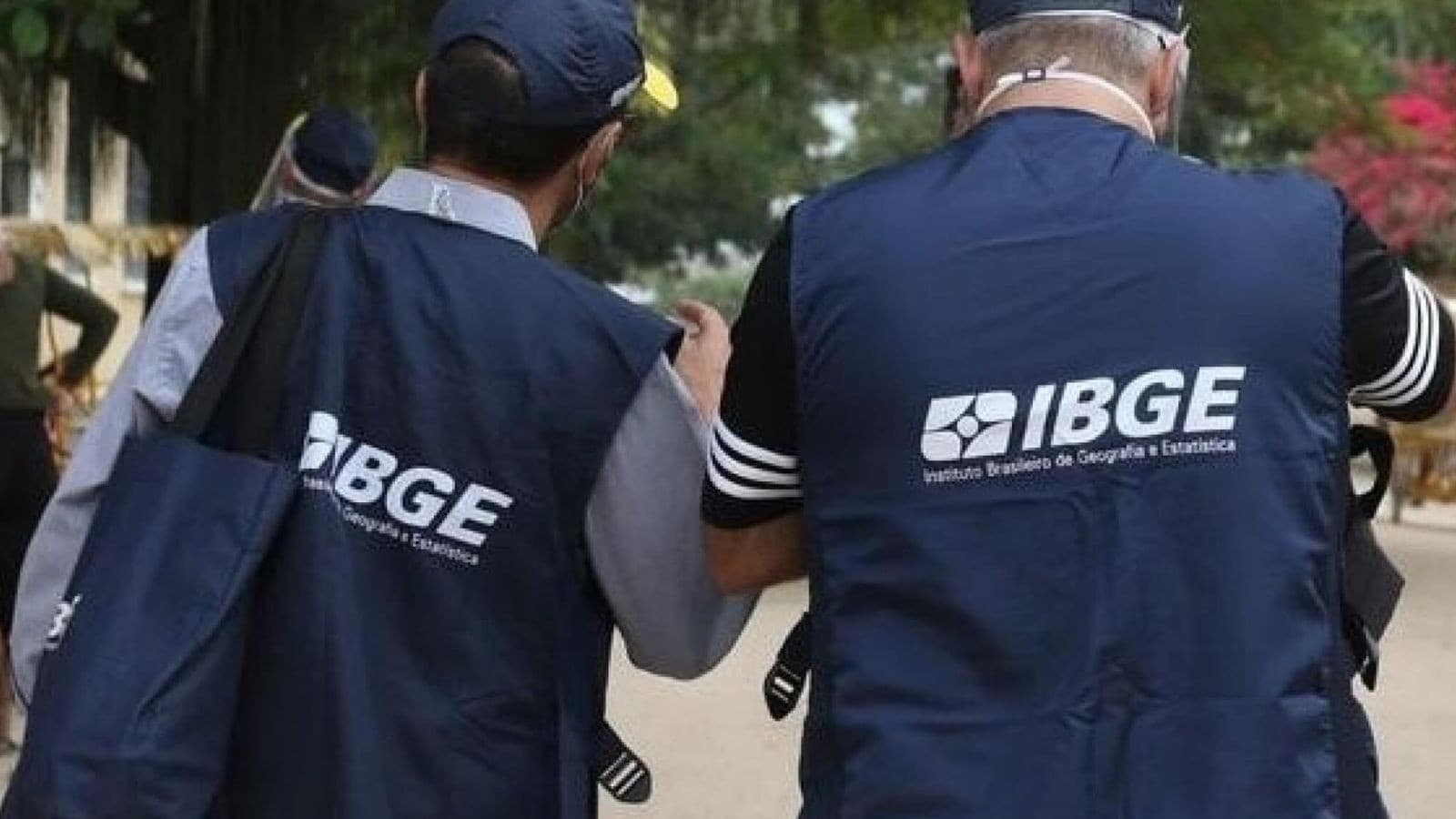 IBGE oferece 8.238 vagas para Censo Agropecuário em 2026
