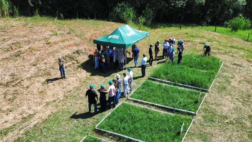 Dia de Campo capacita 44 produtores de ovinocaprinocultura em SC