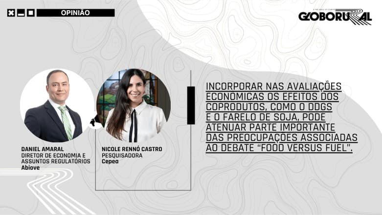 Impactos dos biocombustíveis nos preços dos alimentos são complexos