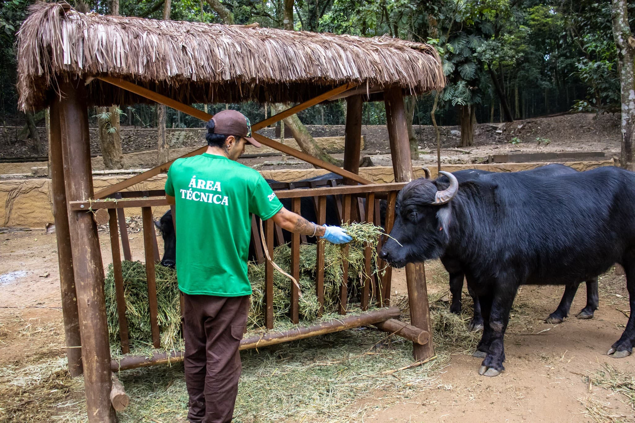 Zoológico de São Paulo gera 27 mil refeições mensais com fazenda própria