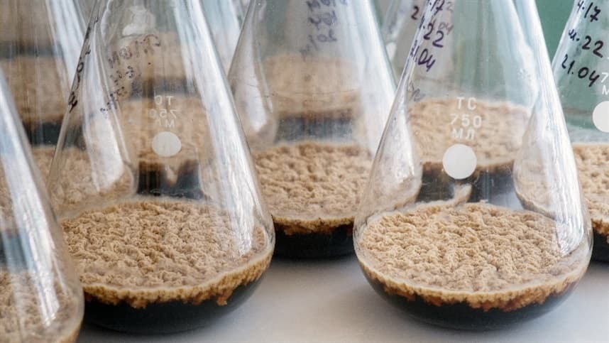 Biológicos no Brasil: O Crescimento do Setor e a Importância do Preparo Correto da Calda de Aplicação