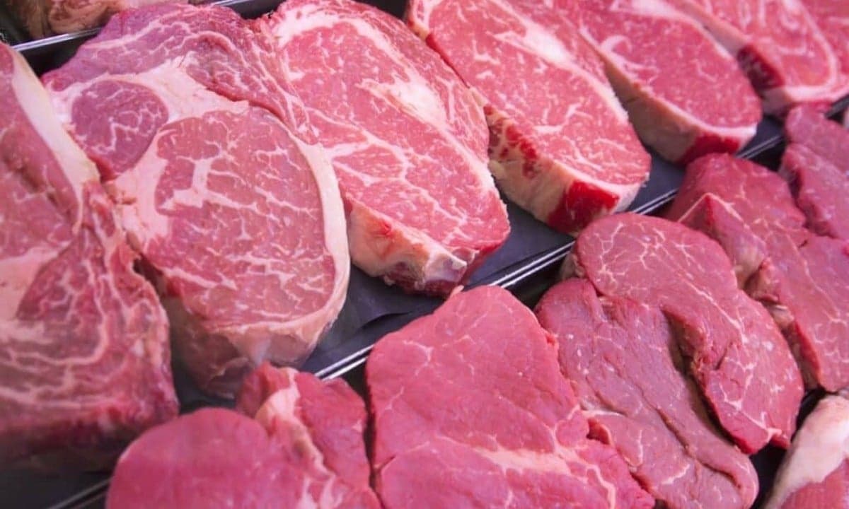 UE suspende exportação de carne do Brasil por uso excessivo de antimicrobianos