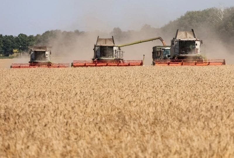 APK-Inform aumenta previsão de colheita de grãos na Ucrânia para 65,2 milhões de toneladas