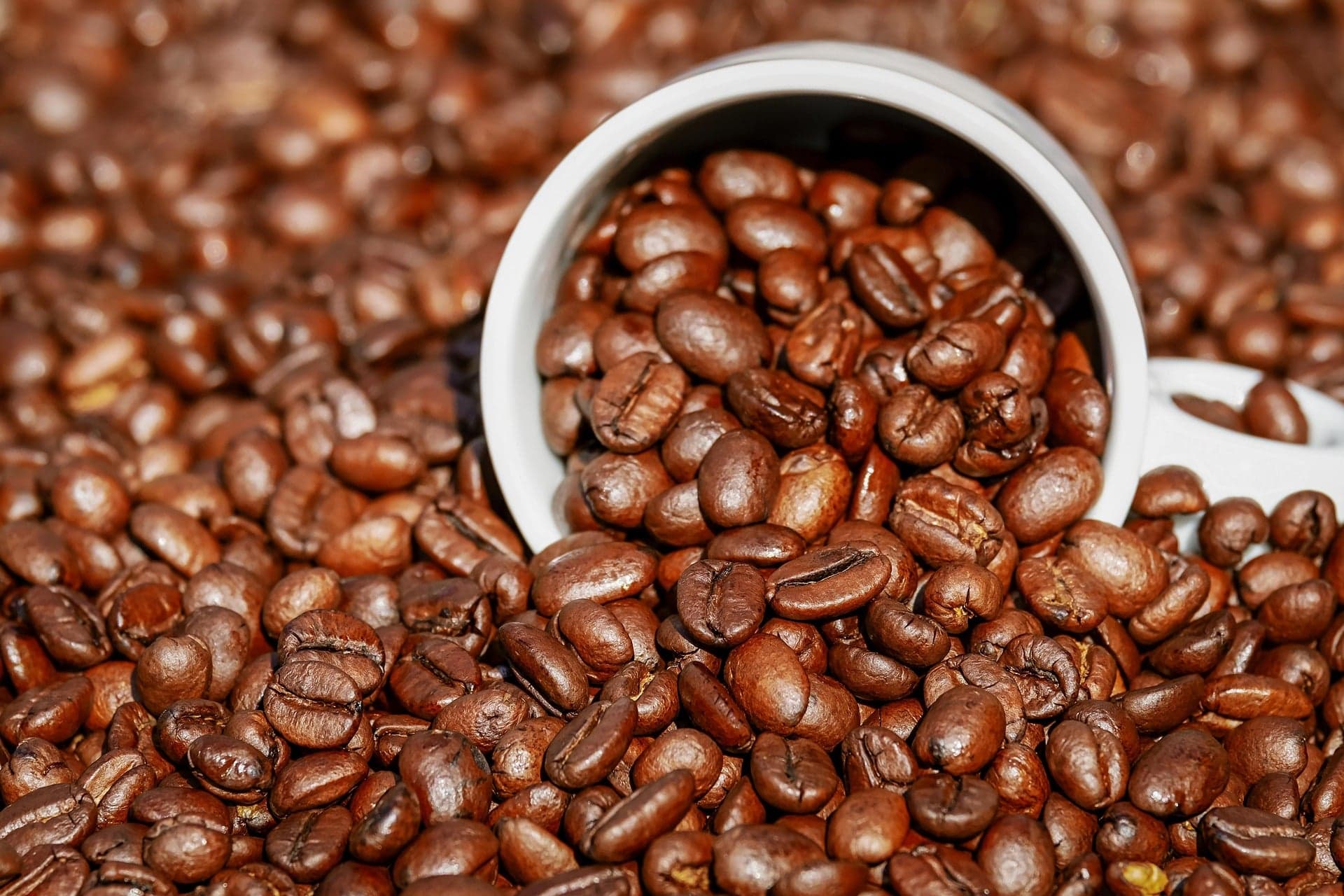 Café arábica apresenta cotações em alta apesar da volatilidade