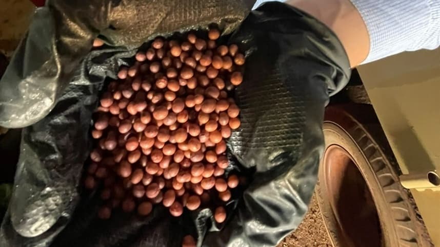 Mercado de sementes de soja no Brasil cresce, mas enfrenta desafios