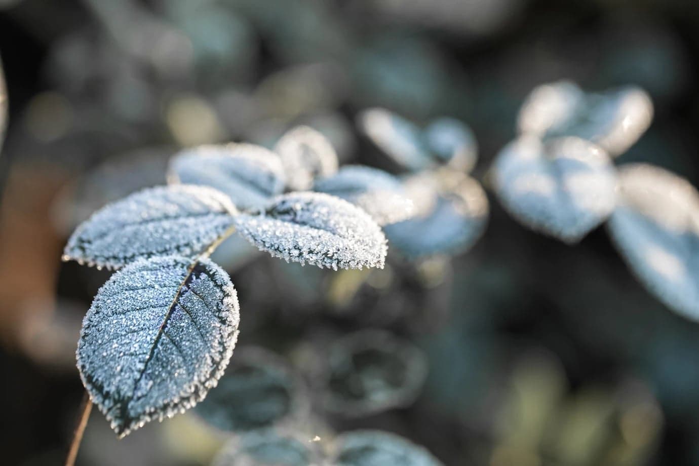 Frio continua e risco de geada persiste no Sul do Brasil
