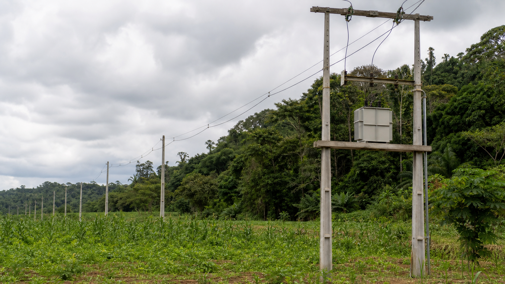 Aneel distribui R$ 5,53 bilhões a 22 distribuidoras de energia