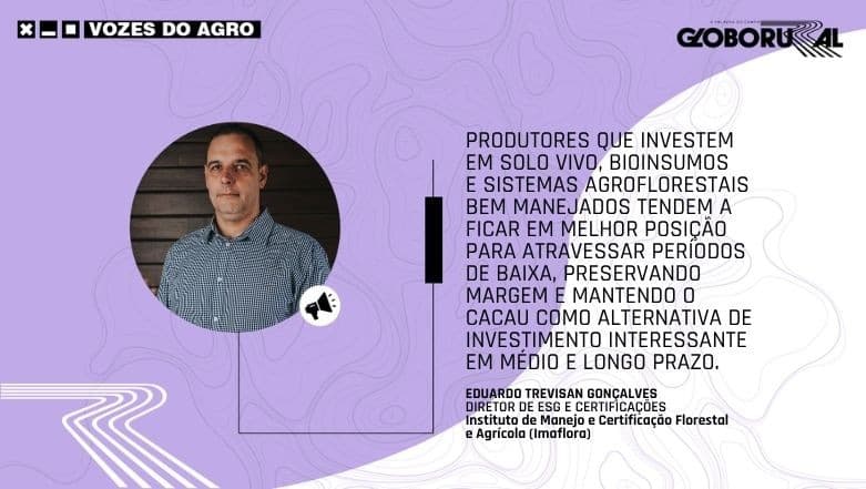 Cacau no Brasil enfrenta crise de preços e desafios econômicos