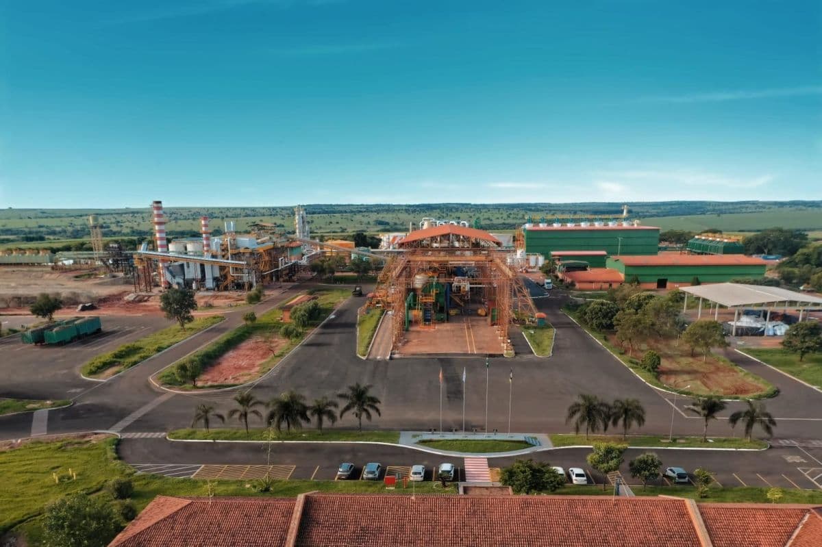 Coruripe vê aumento na produção de cana, mas queda nos preços afeta receita