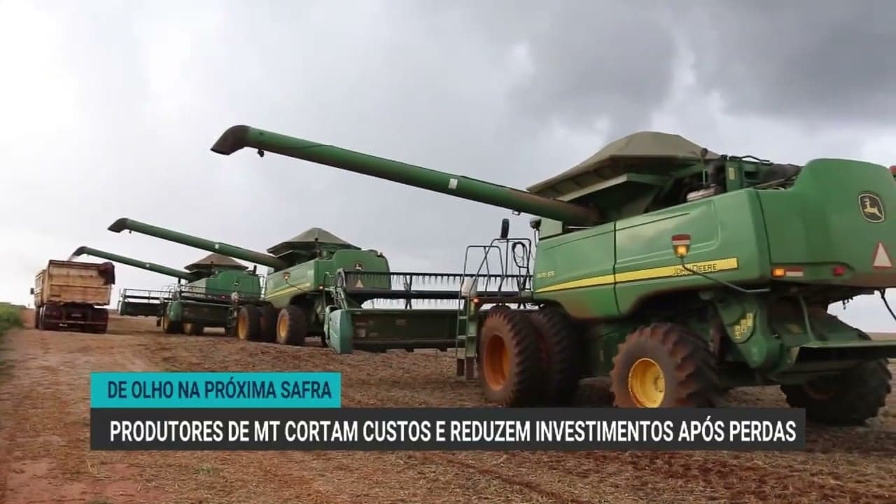 Produtores de Mato Grosso enfrentam perdas severas na safra de soja