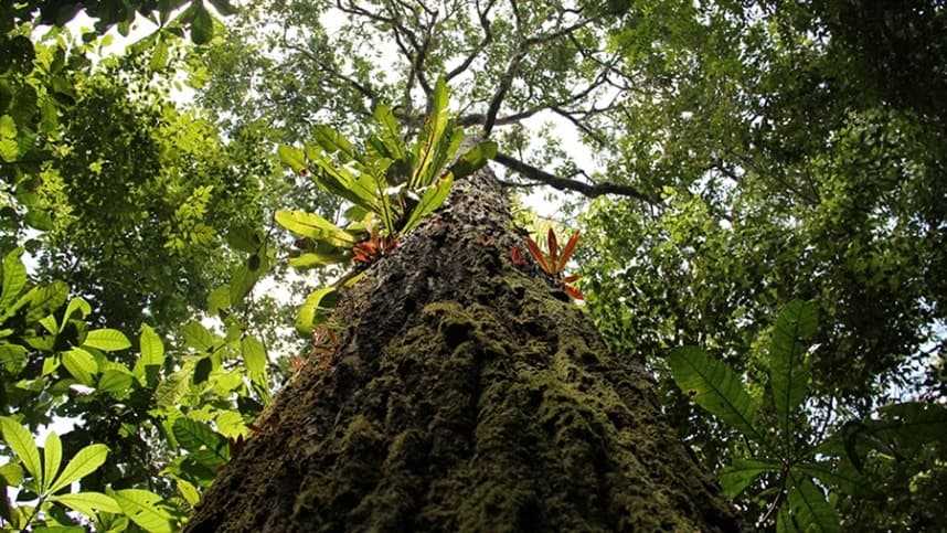 Faepe analisa impacto do Mercosul-UE nas exportações de frutas