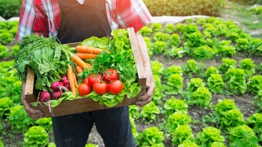 Como a Segurança Alimentar pode ser Sustentável?