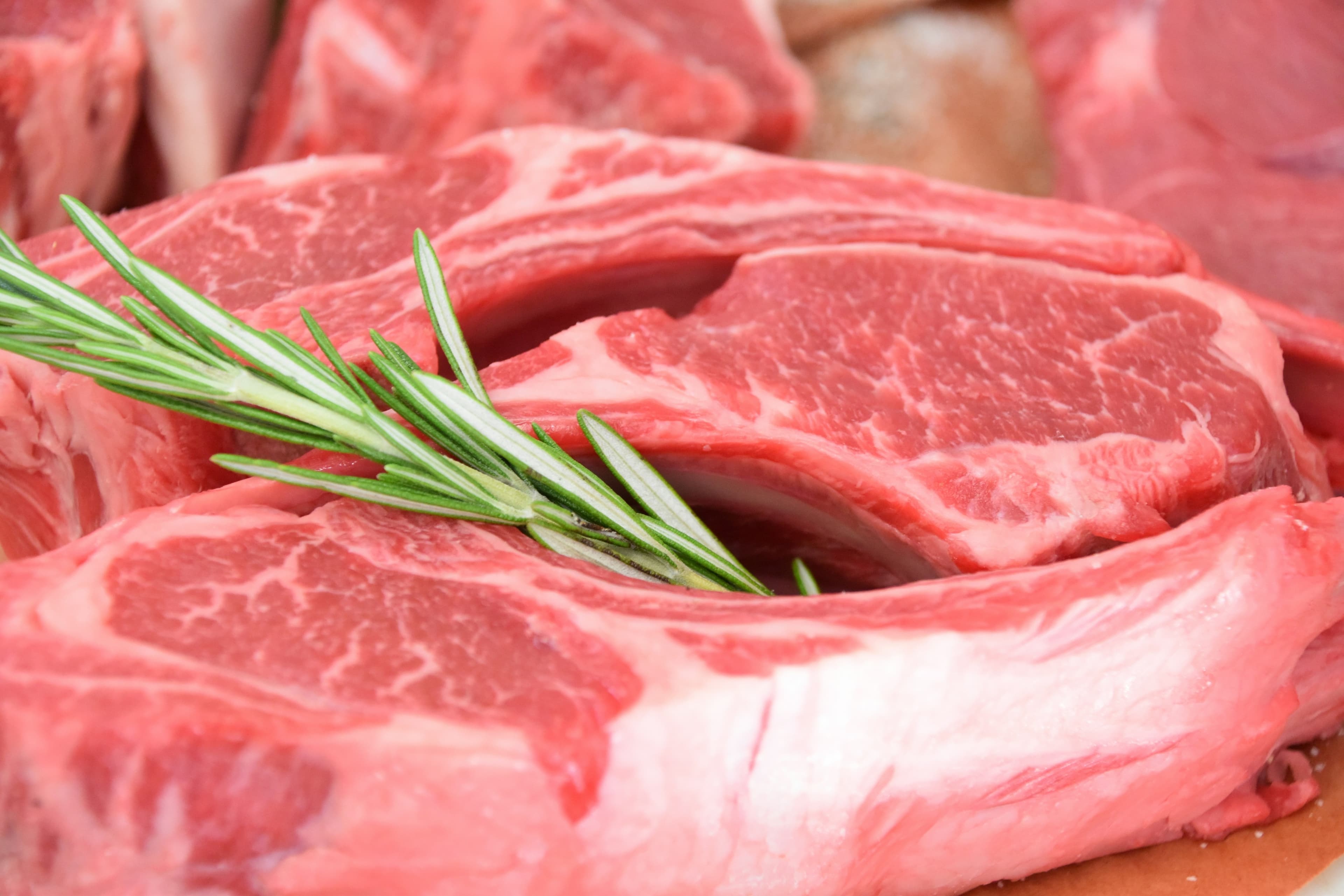 Proibição da UE ameaça exportações de carne e mel brasileiros