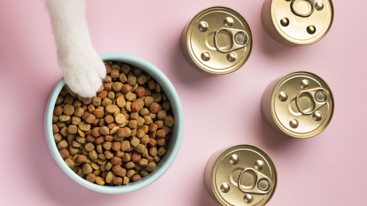 DSM-Firmenich inaugura unidade de nutrição pet em São Paulo