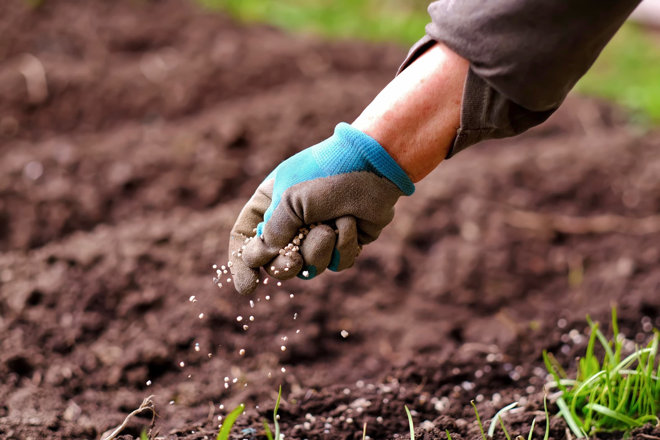 Adecoagro reporta crescimento expressivo na rentabilidade no 2T de 2026